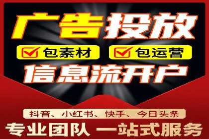百度竞价代理的运营策略与成功案例分析